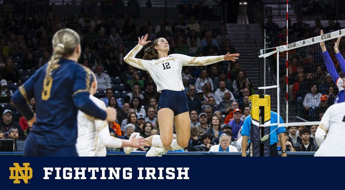 Palazzolo Earns All-ACC Second Team Honors – Notre Dame Fighting Irish – Official Athletics Website