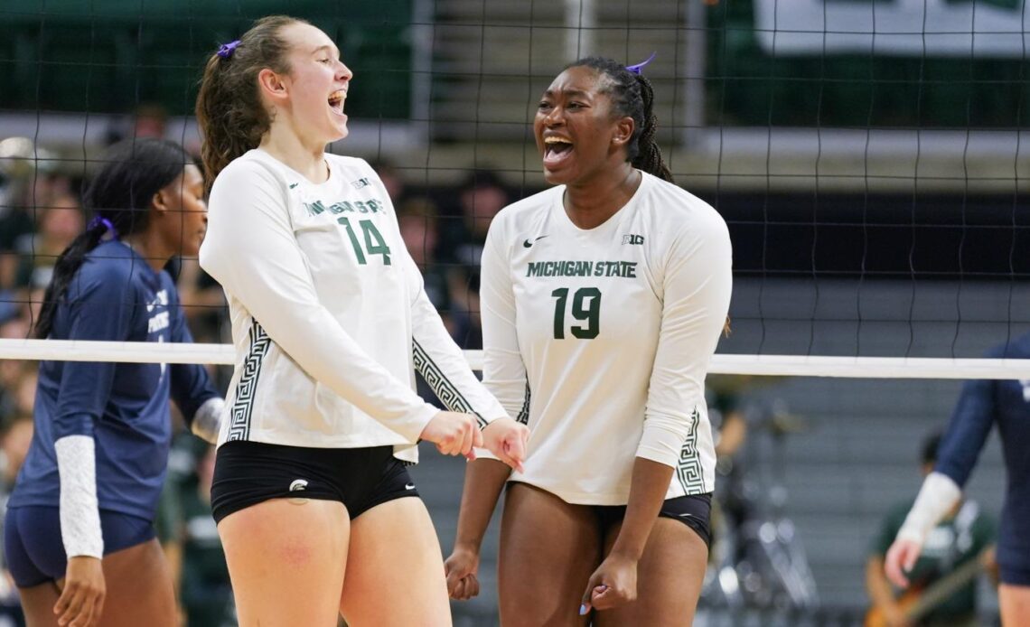 Volleyball Earns Big Ten Postseason Honors