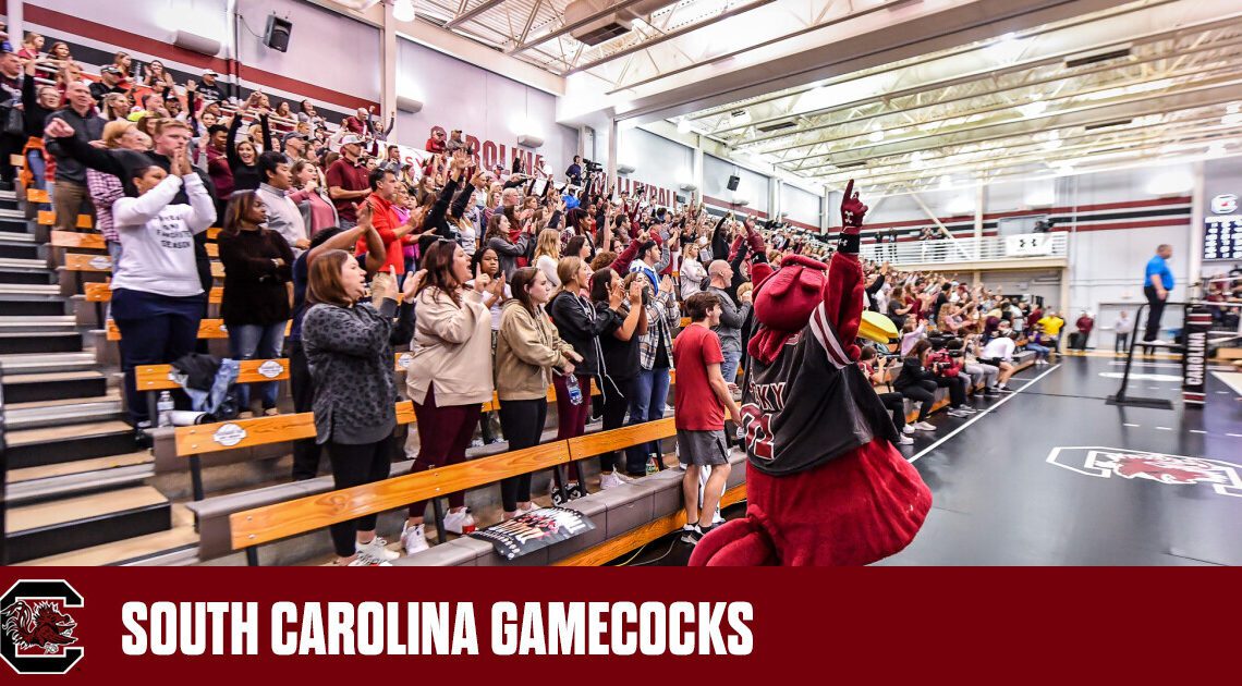 Volleyball Faces Pair of Ranked Opponents in Final Week – University of South Carolina Athletics