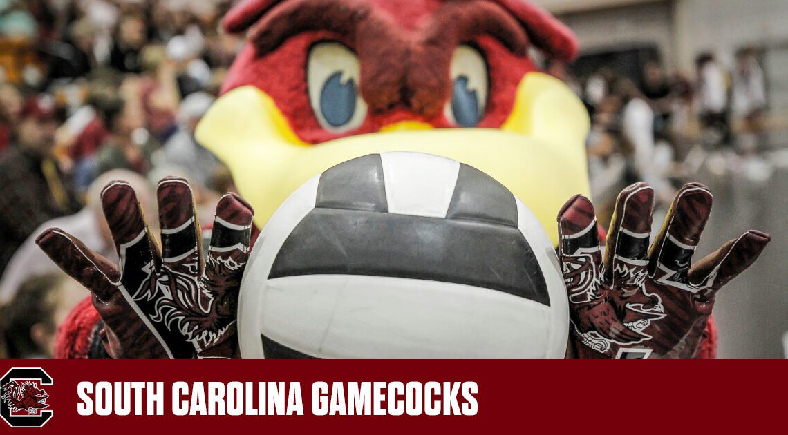 Volleyball Offers Free Admission to Sunday Matinee vs. LSU – University of South Carolina Athletics