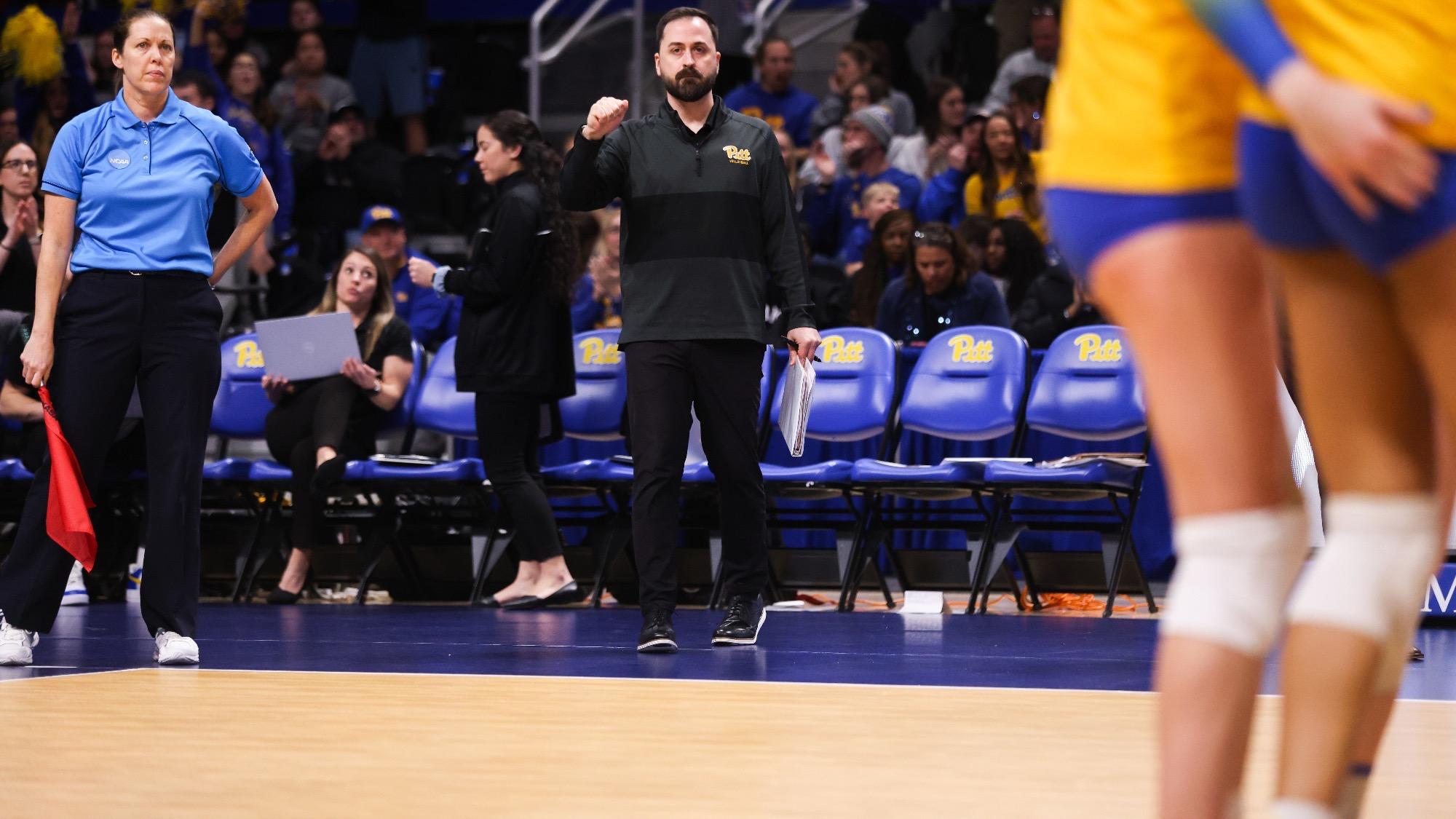 Petrone Named AVCA Assistant Coach of the Year