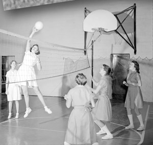 The Evolution of Volleyball Net Systems
