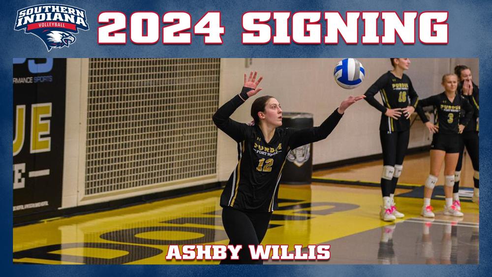 Willis transfers to USI for 2024