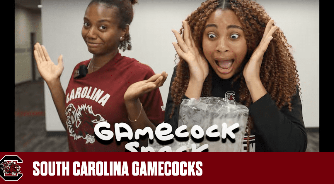 Gamecock Volleyball Snack Swap