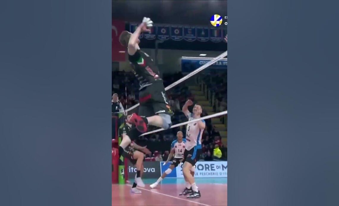 Was that a foul or not? #volleyball #europeanvolleyball