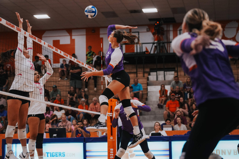 Clemson Professional Volleyball Players