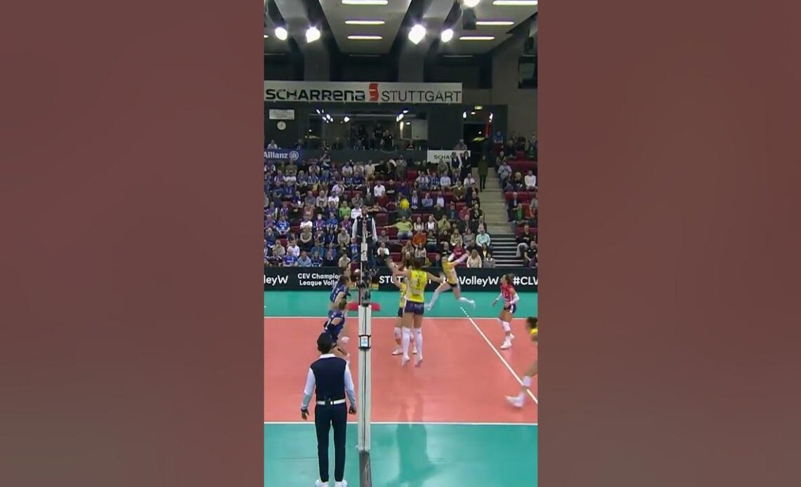 The Volleyball Reflex of the Season!