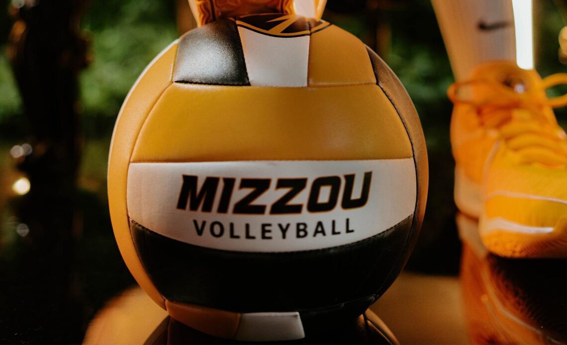 Volleyball Set to Host Youth Clinic March 16