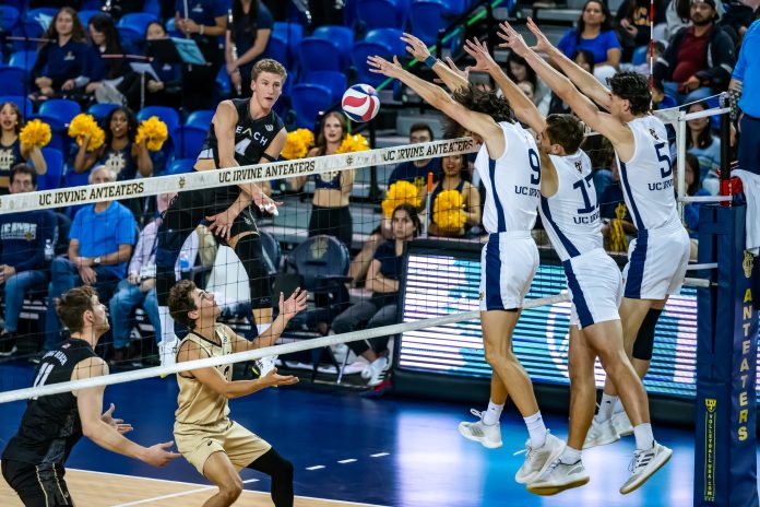 UCI sweeps LBSU, Penn State clinches EIVA; Mojo get key Pro Volleyball victory