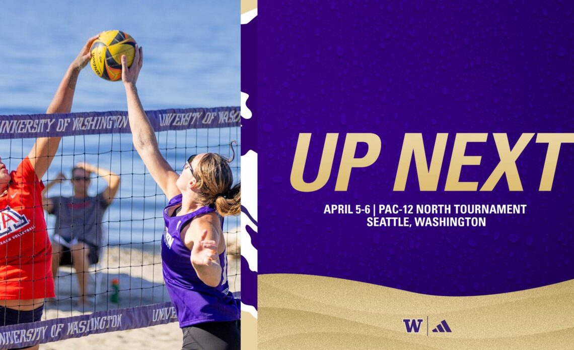 Beach Volleyball is back in Seattle