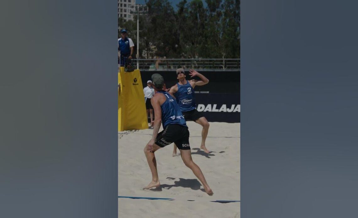CHASE DOWN DIG and transition | Chaim Schalk  #volleyball