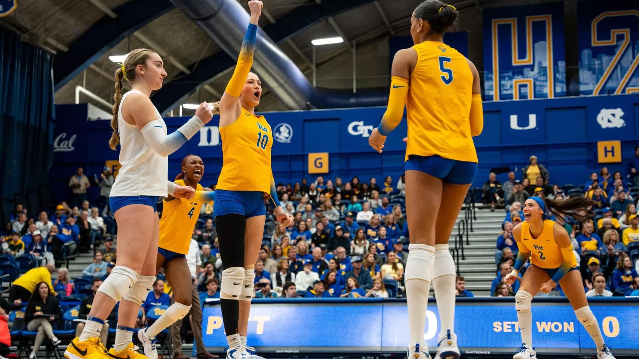 Pitt volleyball is No. 1 