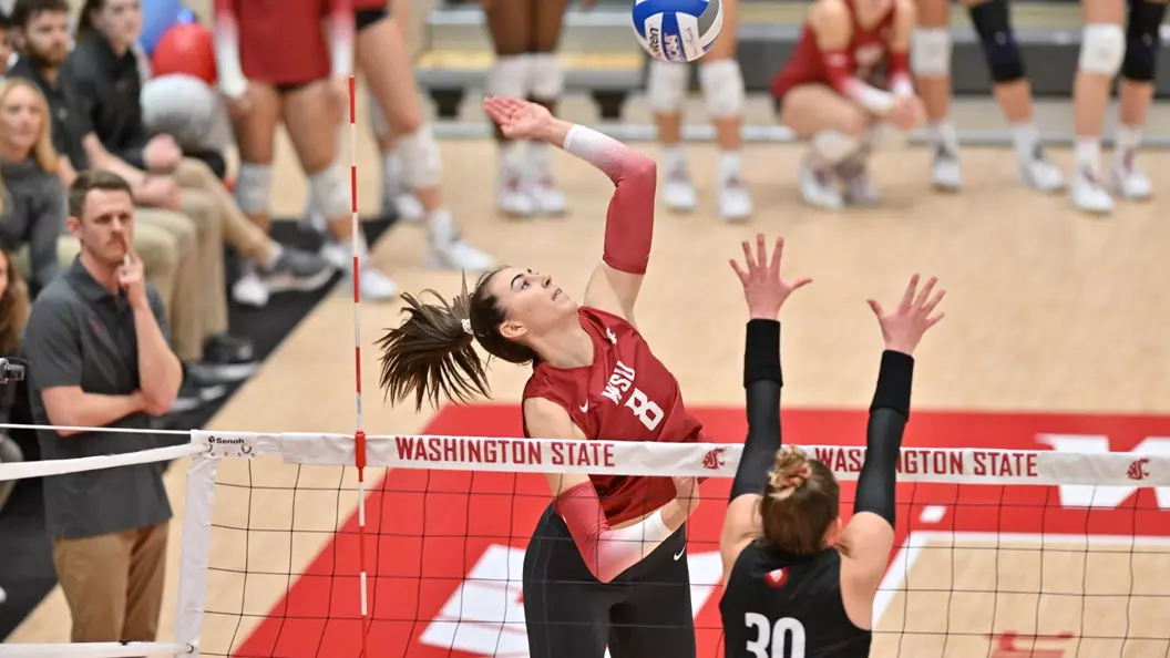 Katy Ryan Named AVCA Northwest All-Region First Team