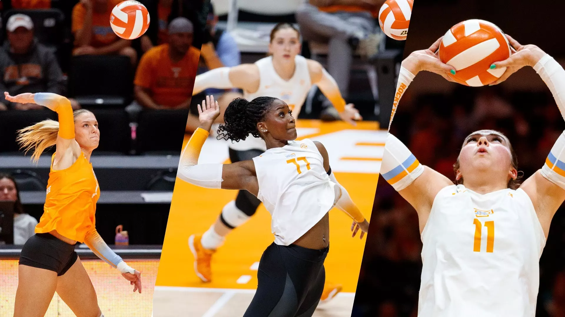 Lady Vol Trio Earns AVCA All-Region Honors